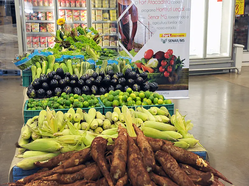 Venda de alimentos da agricultura familiar recebe incentivos em Campo Grande