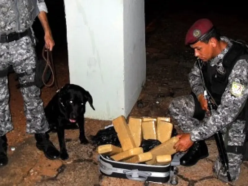 Cão farejador ajuda polícia prender mãe e filho com maconha