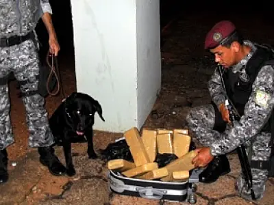 Cão farejador ajuda polícia prender mãe e filho com maconha