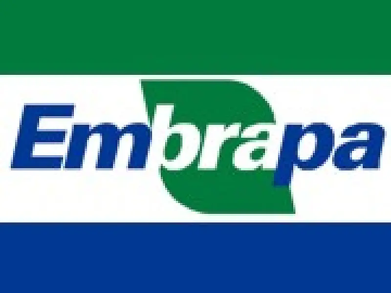 Técnicos agropecuários participam de capacitações na Embrapa