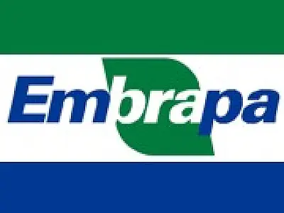 Técnicos agropecuários participam de capacitações na Embrapa