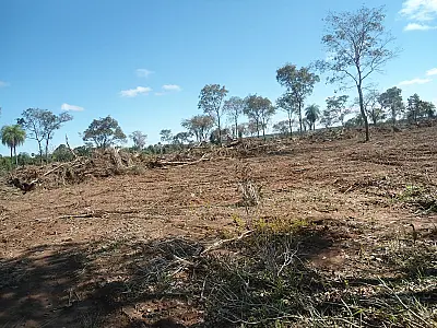 Pecuarista é autuado em R$ 4,5 mil por desmatamento e exploração em Bonito