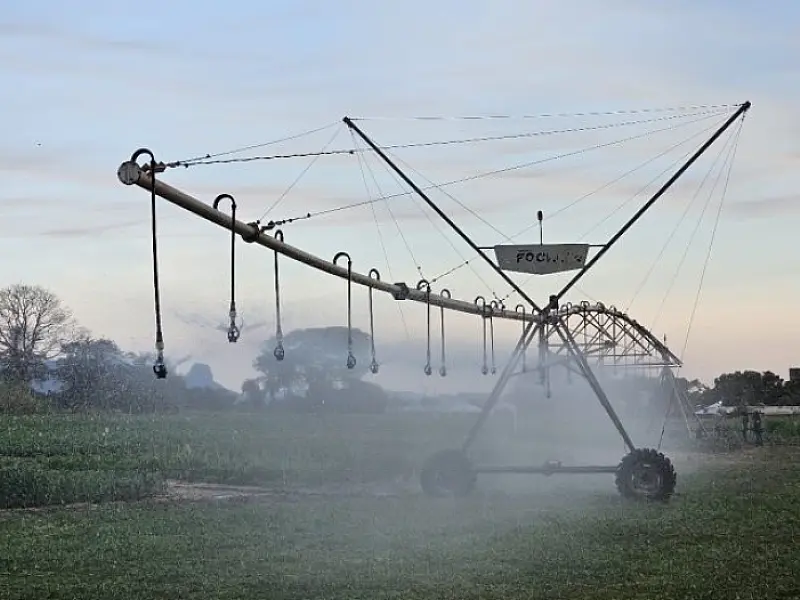 Primeiro polo de agricultura irrigada de MS abrange 26 municípios nas regiões Centro e Sul
