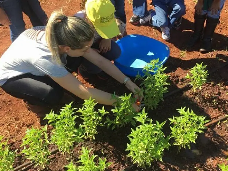 Comissão organizada pela Semed fará estudos para incrementar aulas práticas da escola agrícola