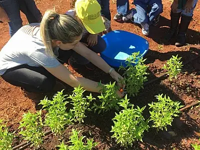 Comissão organizada pela Semed fará estudos para incrementar aulas práticas da escola agrícola