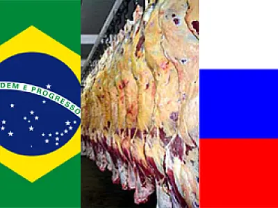 Russos pedem 15 dias para resposta sobre carne