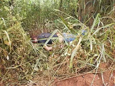 Sul-mato-grossense é morto a pedradas em Mato Grosso