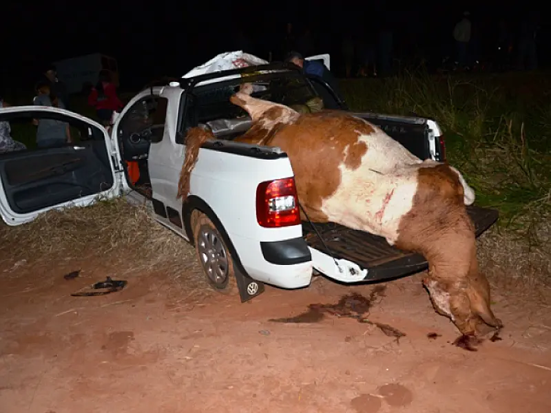 Identificado homem morto em colisão entre veículo e animal