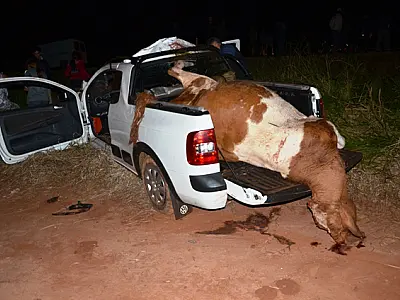Identificado homem morto em colisão entre veículo e animal