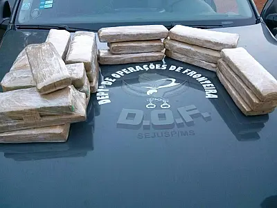 DOF apreende maconha em ônibus na MS 164