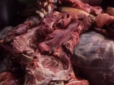 Polícia Civil apreende mais de 2,5 toneladas de carnes em MS