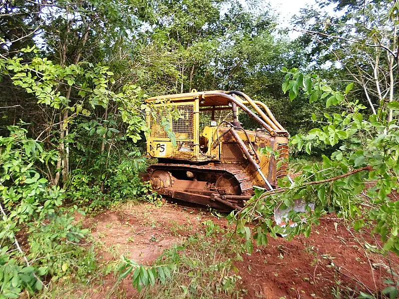 PMA autua fazendeiro de SP por desmatamento ilegal