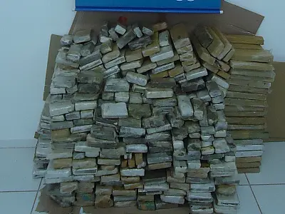 PMA apreende 330 quilos de maconha em Três Lagoas