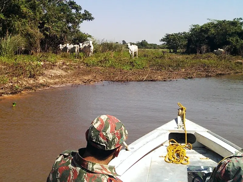 PMA autua pecuarista em R$ 230 mil por criar gado e destruir área de matas ciliares do rio Amambai