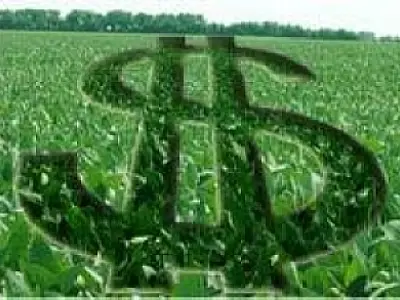 Seguro agrícola é ampliado e vai beneficiar 96 mil produtores