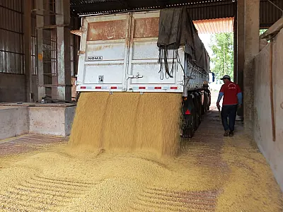 MS ainda armazena 20% da safra de soja