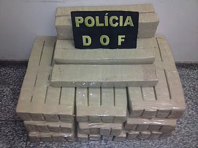 DOF apreende 50 kg de maconha em caminhão na MS 487