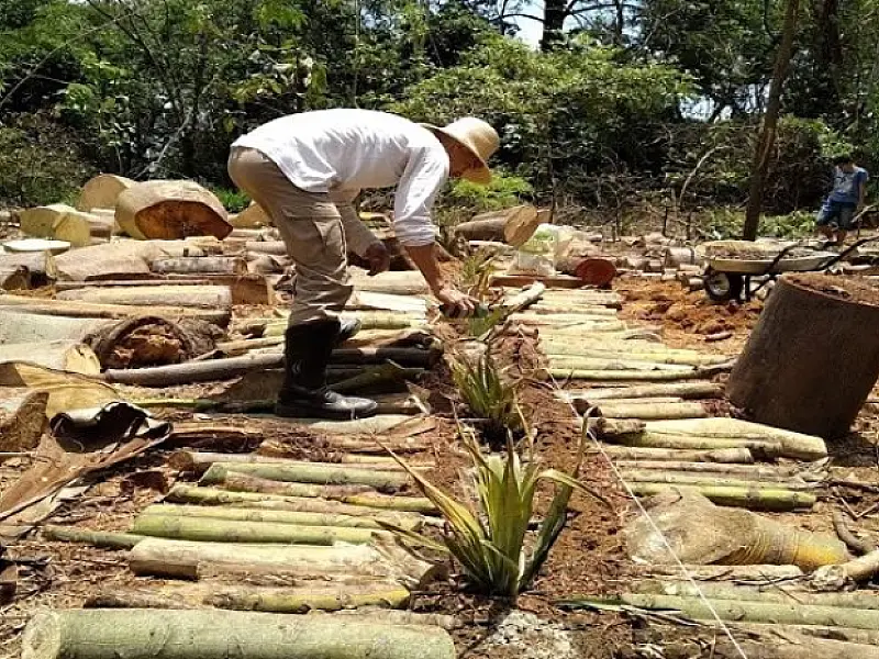 Com recursos do Funles, comunidade vai implantar projeto completo de sustentabilidade em chácara
