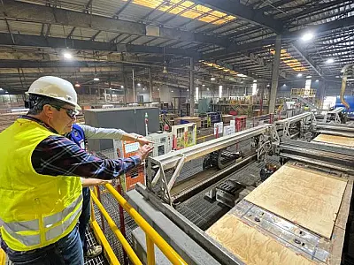 Vale da Celulose: Arauco aprova R$ 25 bi em investimento que garante desenvolvimento em MS