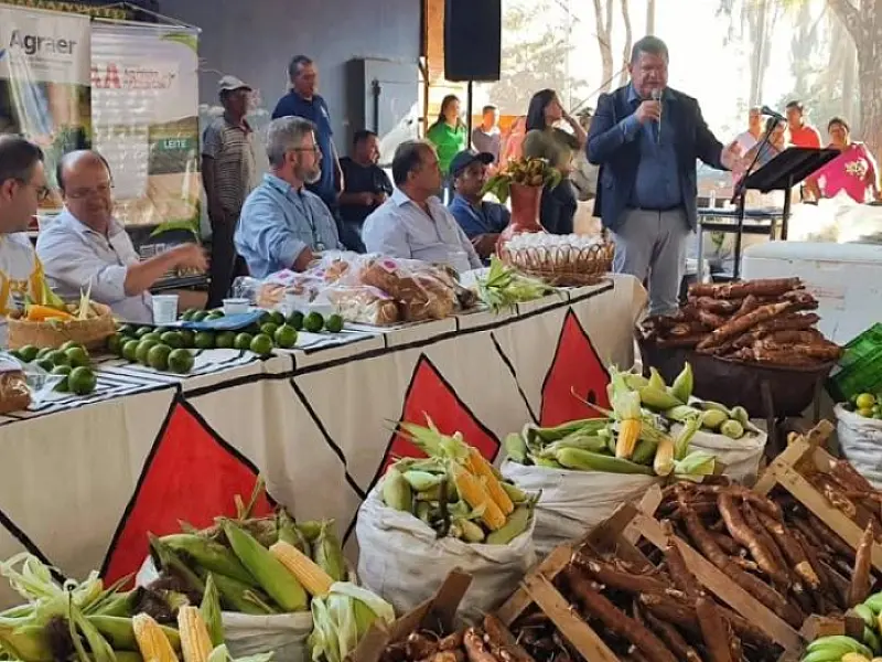 Programas de compras públicas aumentam a renda de agricultores familiares em até 106%, aponta Ipea