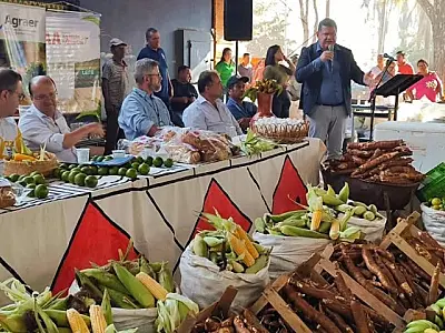 Programas de compras públicas aumentam a renda de agricultores familiares em até 106%, aponta Ipea
