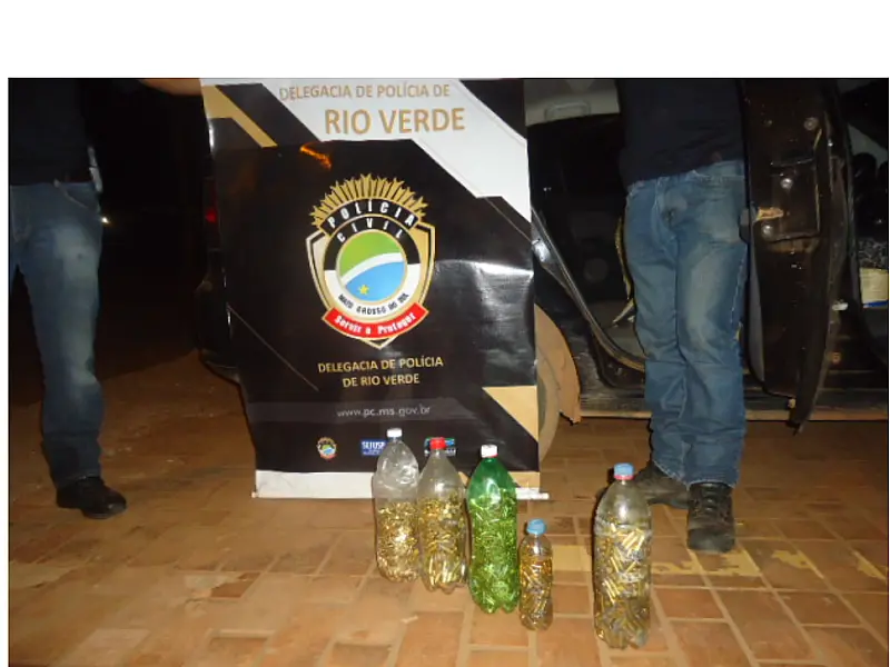 Policiais de Rio Verde apreendem mais de três mil munições