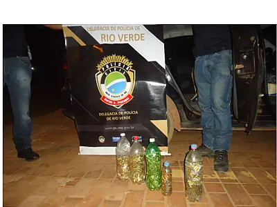 Policiais de Rio Verde apreendem mais de três mil munições