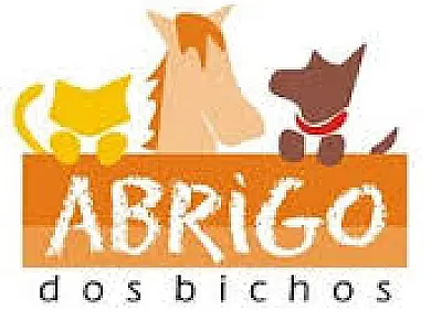 Com título de Utilidade Pública, Abrigo dos Bichos acredita em ampliação do atendimento