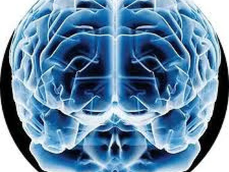 Cientistas descobrem substância que pode levar à cura de doenças como Alzheimer e Parkinson