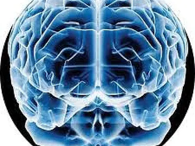 Cientistas descobrem substância que pode levar à cura de doenças como Alzheimer e Parkinson