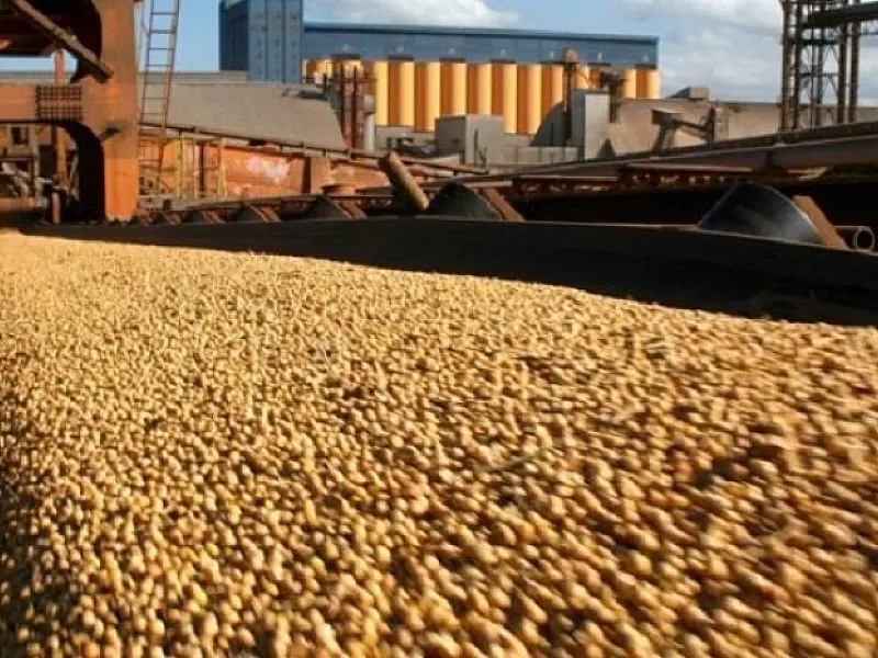 Balança Comercial de MS acumula superávit de US$ 1 bilhão no 1º trimestre: melhor resultado em