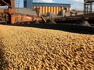 Balança Comercial de MS acumula superávit de US$ 1 bilhão no 1º trimestre: melhor resultado em