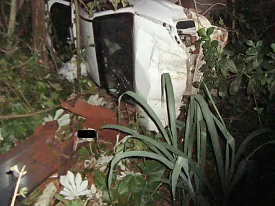 Carro tenta desviar de tamanduá e capota na BR-163