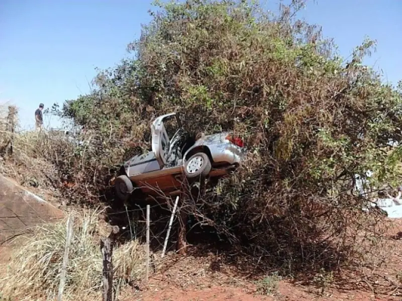 Carro capota, bate em árvore e deixa um morto