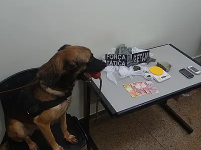 Com a ajuda de cão farejador, Polícia fecha boca de fumo em Dourados