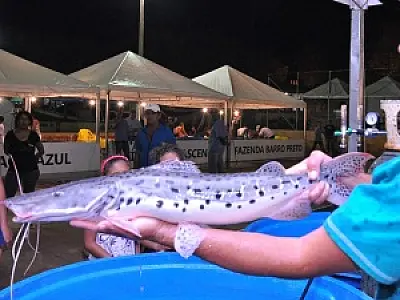 Festa do peixe será de 27 a 31 de março em Dourados