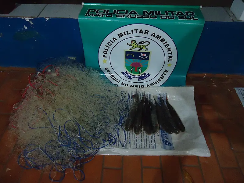 PMA surpreende pescadores profissionais pescando com rede
