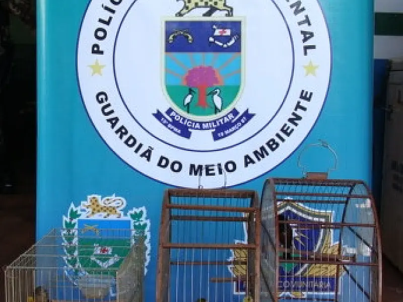 PMA autua homem por crime ambiental em Sidrolândia