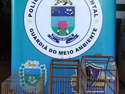 PMA autua homem por crime ambiental em Sidrolândia