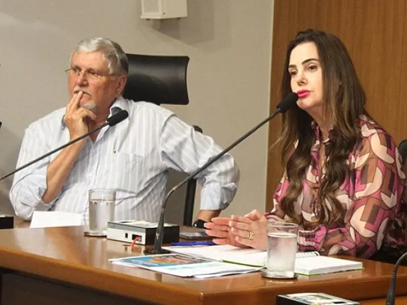 Conforme previsão da Ordem do Dia, as propostas serão votadas em primeira e segunda discussão. A ses