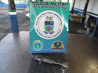PMA autua dono de restaurante por armazenamento ilegal