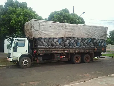 PMA autua em R$ 21 mil carvoeiro por transporte ilegal de 70 m³ de carvão nativo