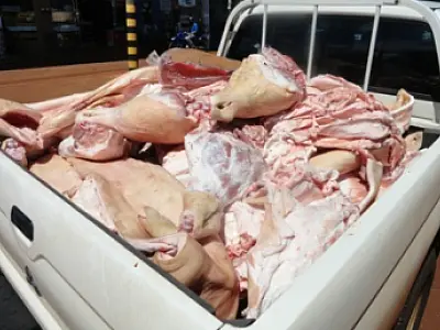Polícia fecha açougue suspeito de vender carne ilegal