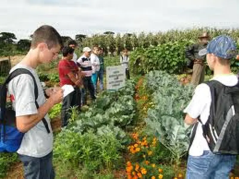 Solicitação enviada ao MEC pode legalizar Curso Técnico em Agronegócio