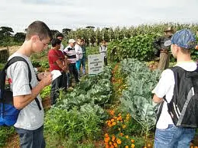 Solicitação enviada ao MEC pode legalizar Curso Técnico em Agronegócio
