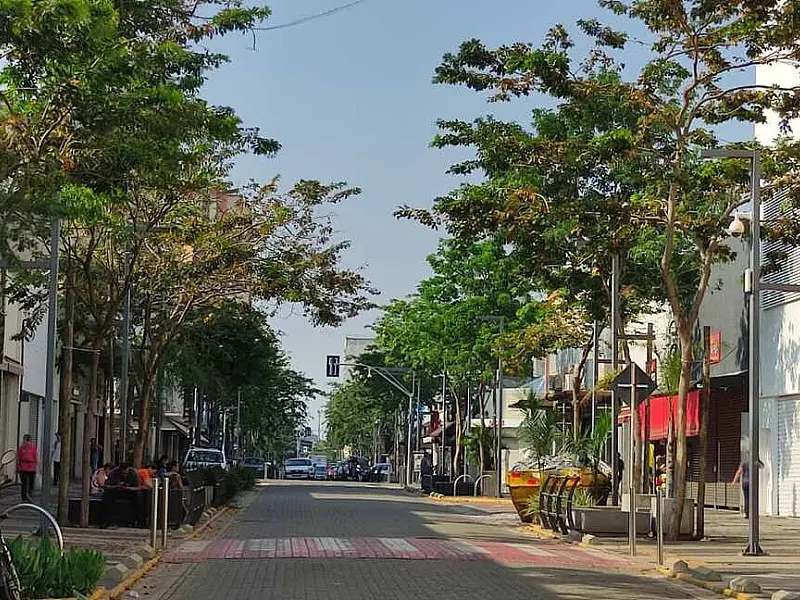 Corredor verde na 14 de Julho garante conforto térmico para a população