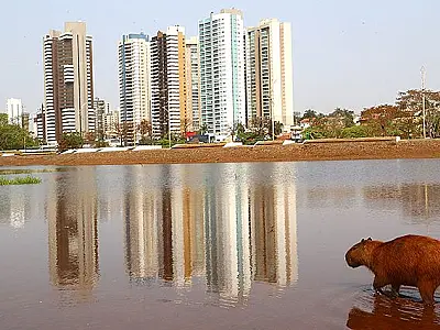 Estado reabre Parque das Nações Indígenas nesta quinta, com rigorosas regras de biossegurança