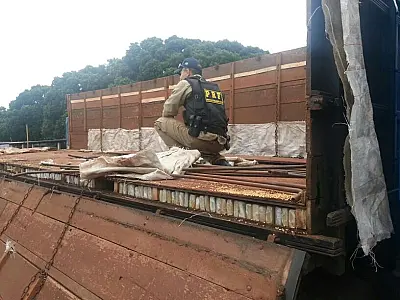 Quase 3 toneladas de maconha é apreendido pela PRF