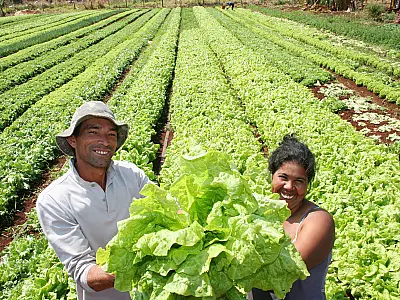 Agricultores familiares criam confederação nacional