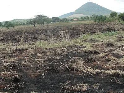 Assentada é multada em R$ 5 mil por provar incêndio em lotes